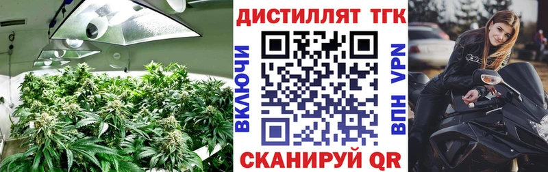 Дистиллят ТГК THC oil  купить наркотик  мега tor  darknet наркотические препараты  Курск 