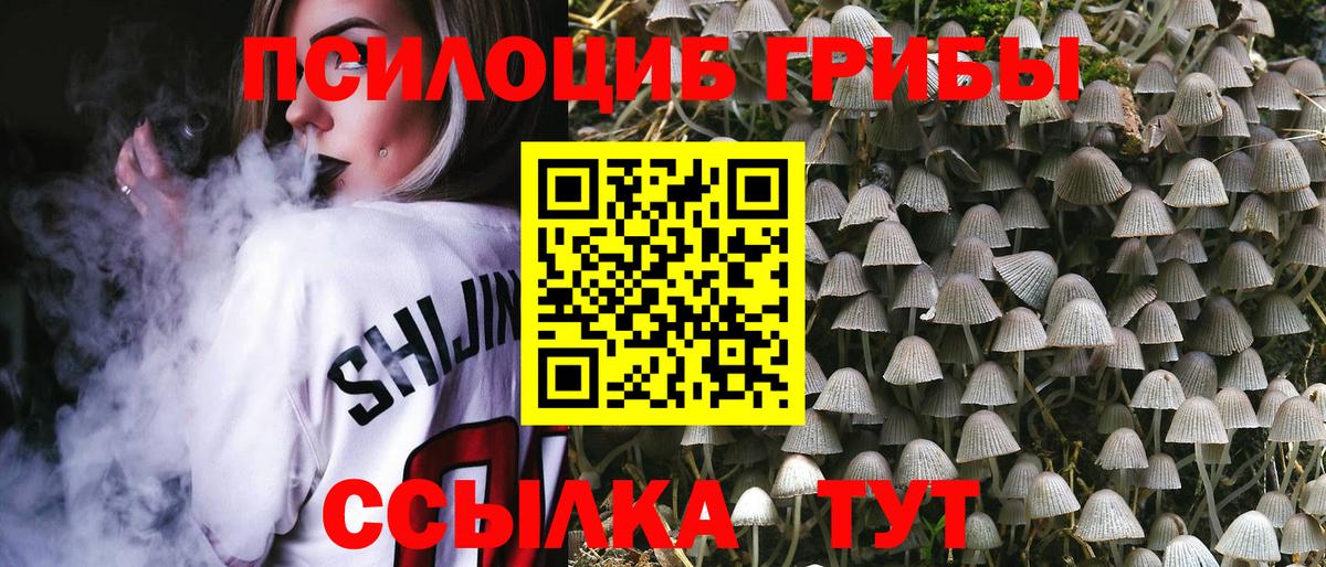 купить наркотики цена  Псилоцибиновые грибы MAGIC MUSHROOMS  Вход с VPN  Курск  Псилоцибиновые грибы Psilocybine cubensis 