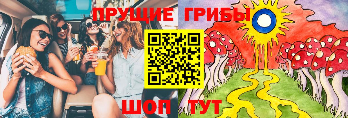 Псилоцибиновые грибы GOLDEN TEACHER Курск