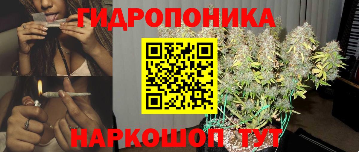 Шишки марихуана семена  МАРИХУАНА SATIVA & INDICA  Вход с VPN  Курск  Бошки Шишки семена 